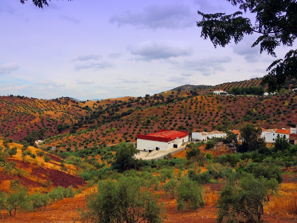 Foto de El Gastor (Cádiz), España