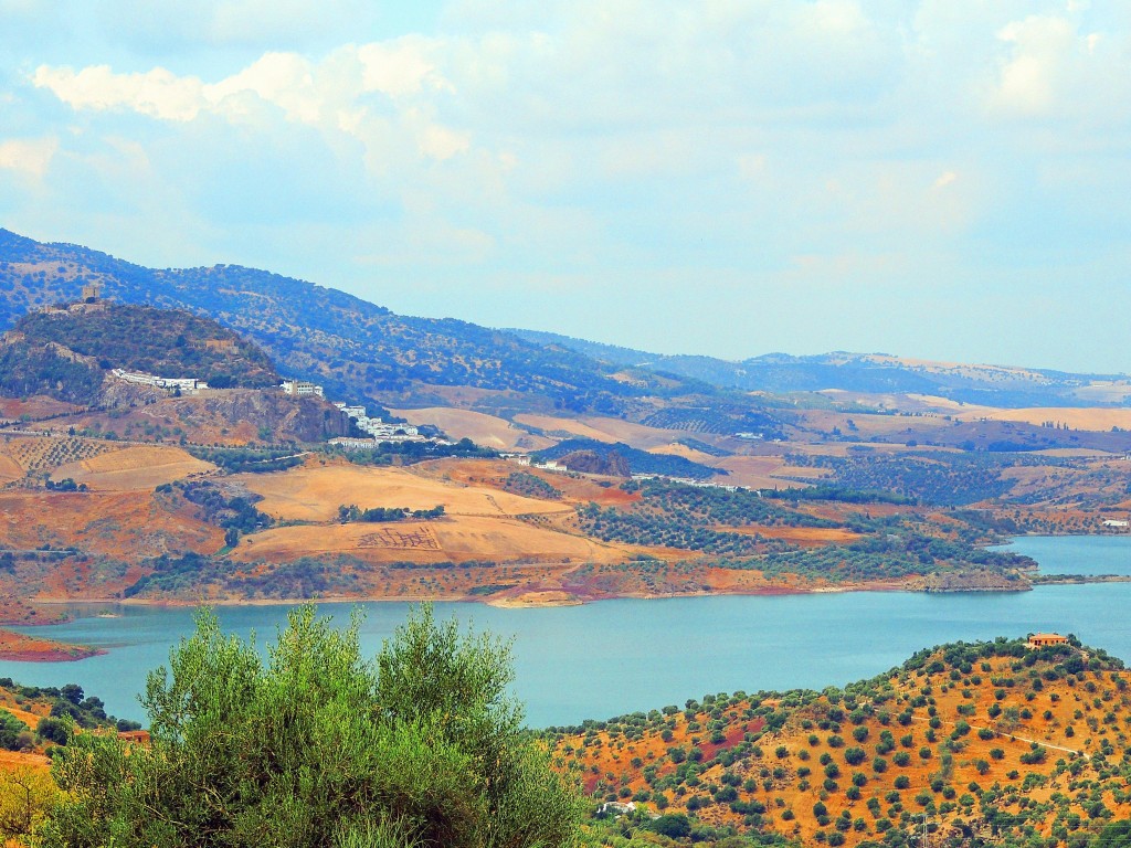 Foto de El Gastor (Cádiz), España