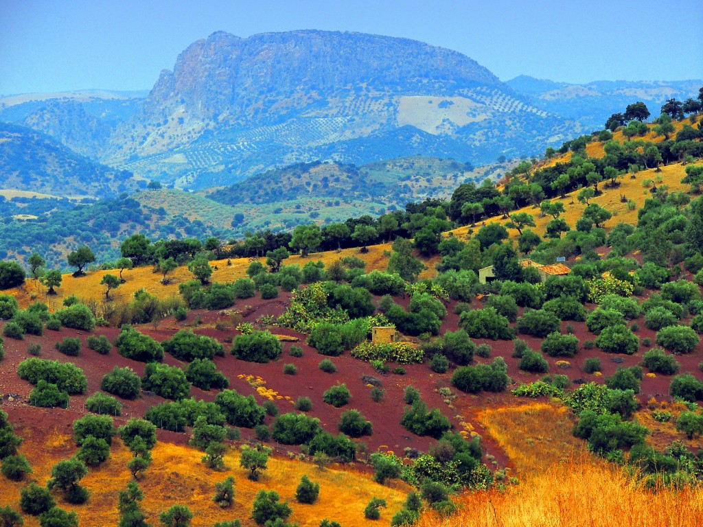 Foto de El Gastor (Cádiz), España