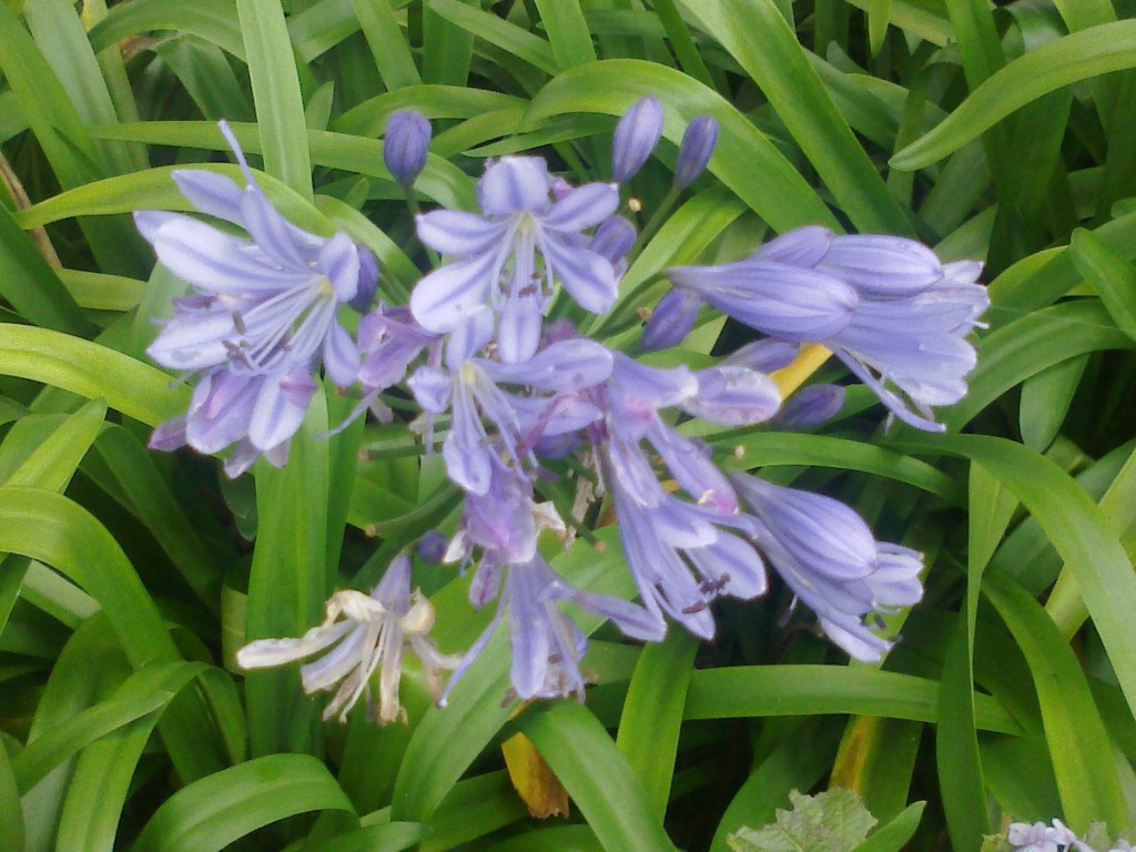 Foto de Gran Caracas (Distrito Capital), Venezuela