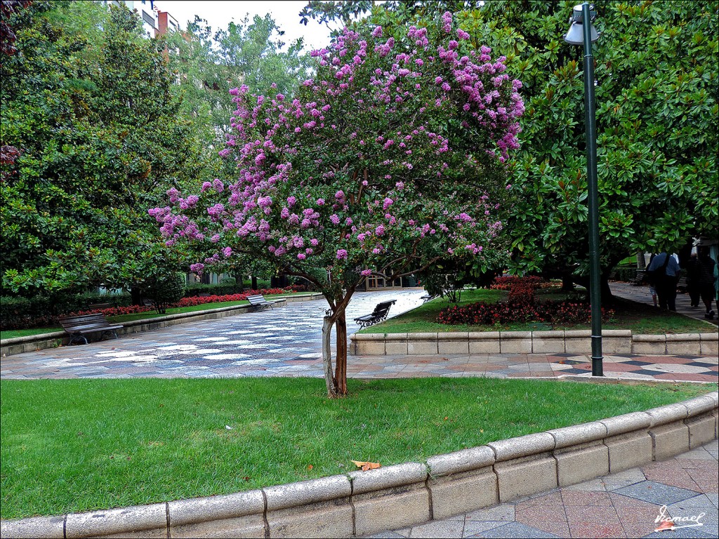 Foto: 130908-01 ZARAGOZA - Zaragoza (Aragón), España