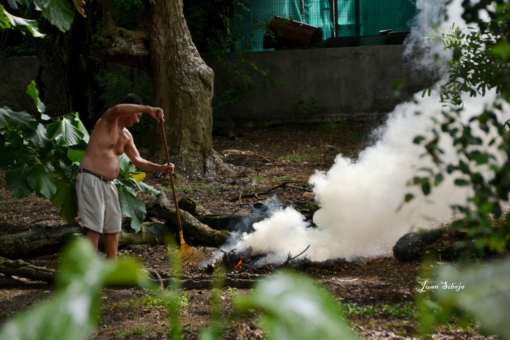 Foto: QUEMA - Puntarenas, Costa Rica