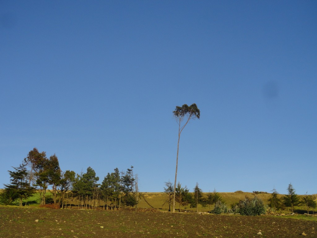 Foto: Paisaje - Tambo (Cañar), Ecuador