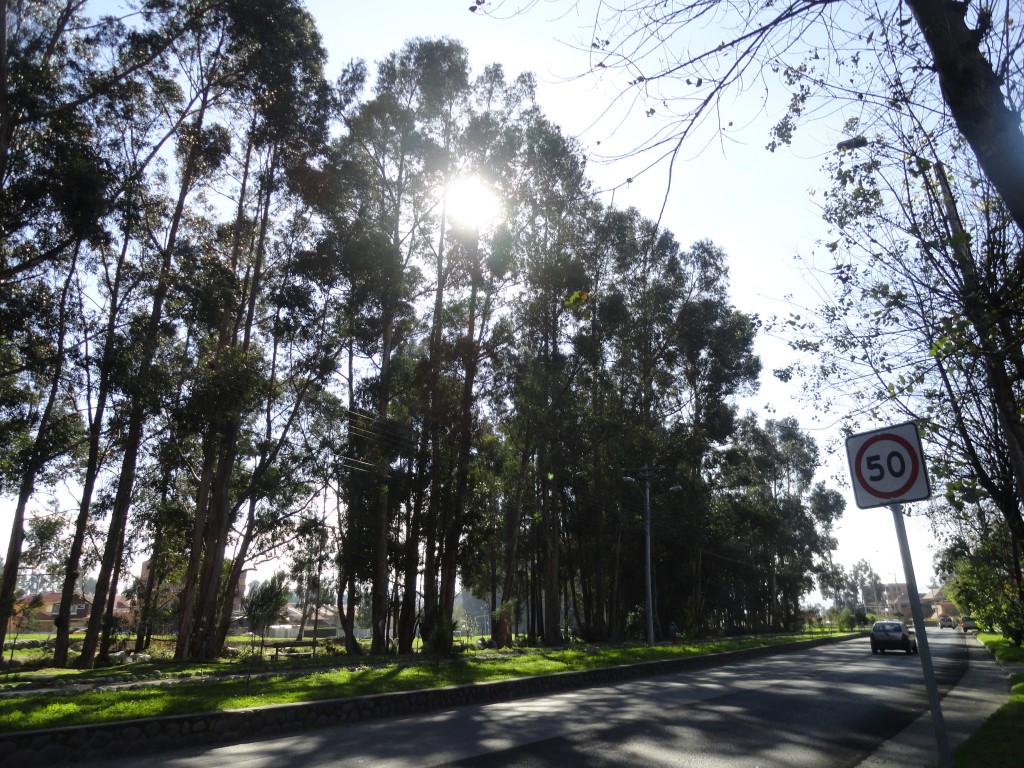 Foto: La ciudad - Cuenca (Azuay), Ecuador