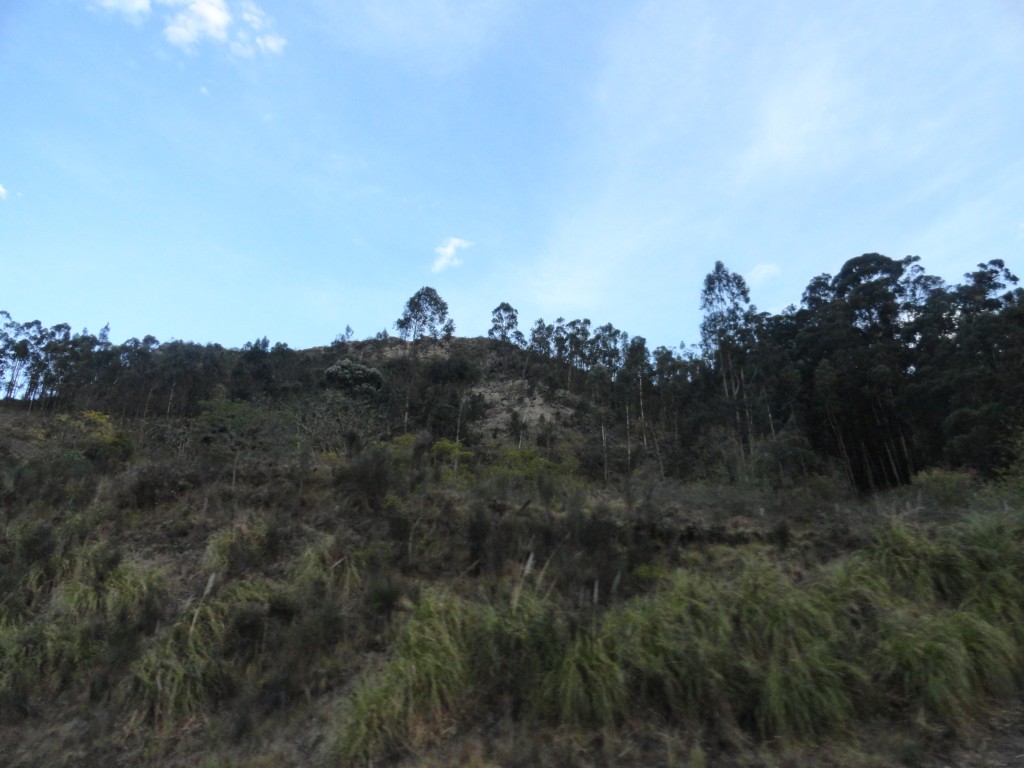 Foto: La ciudad - Cuenca (Azuay), Ecuador