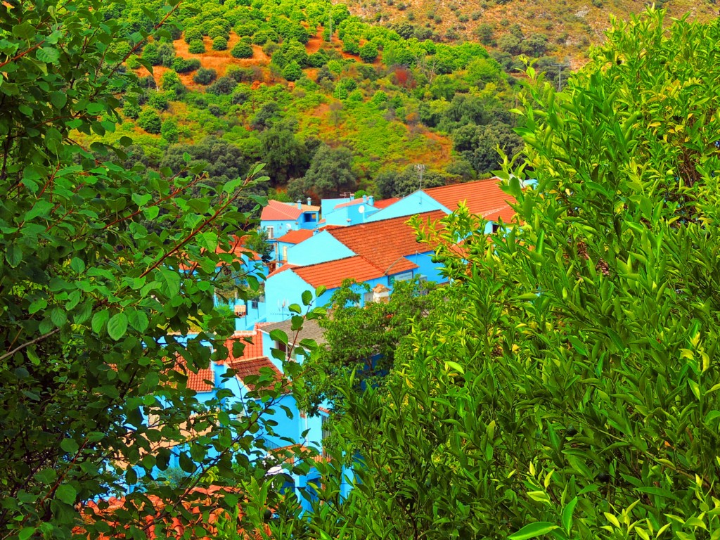 Foto de Júzcar (Málaga), España