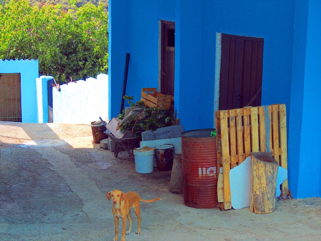 Foto de Júzcar (Málaga), España