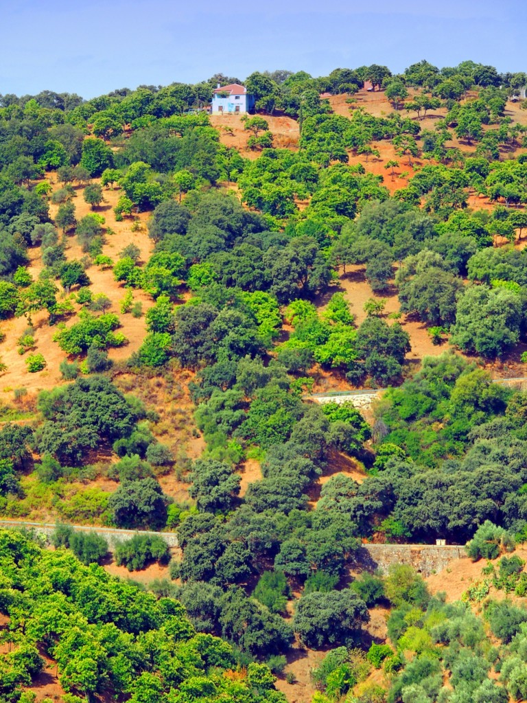 Foto de Júzcar (Málaga), España