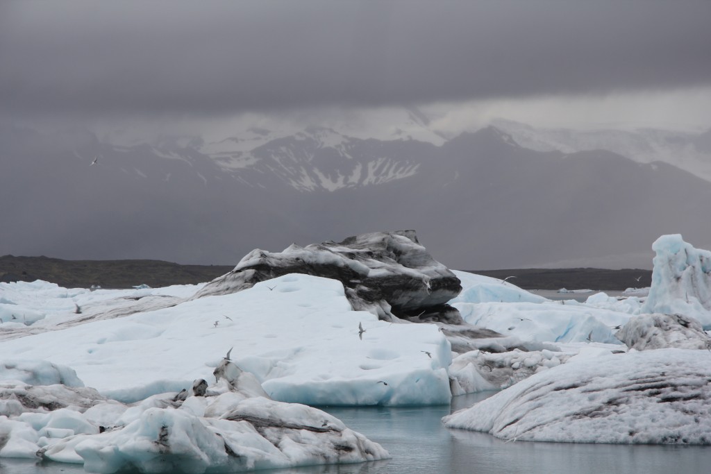 Foto de Jökulsárlon (South), Islandia