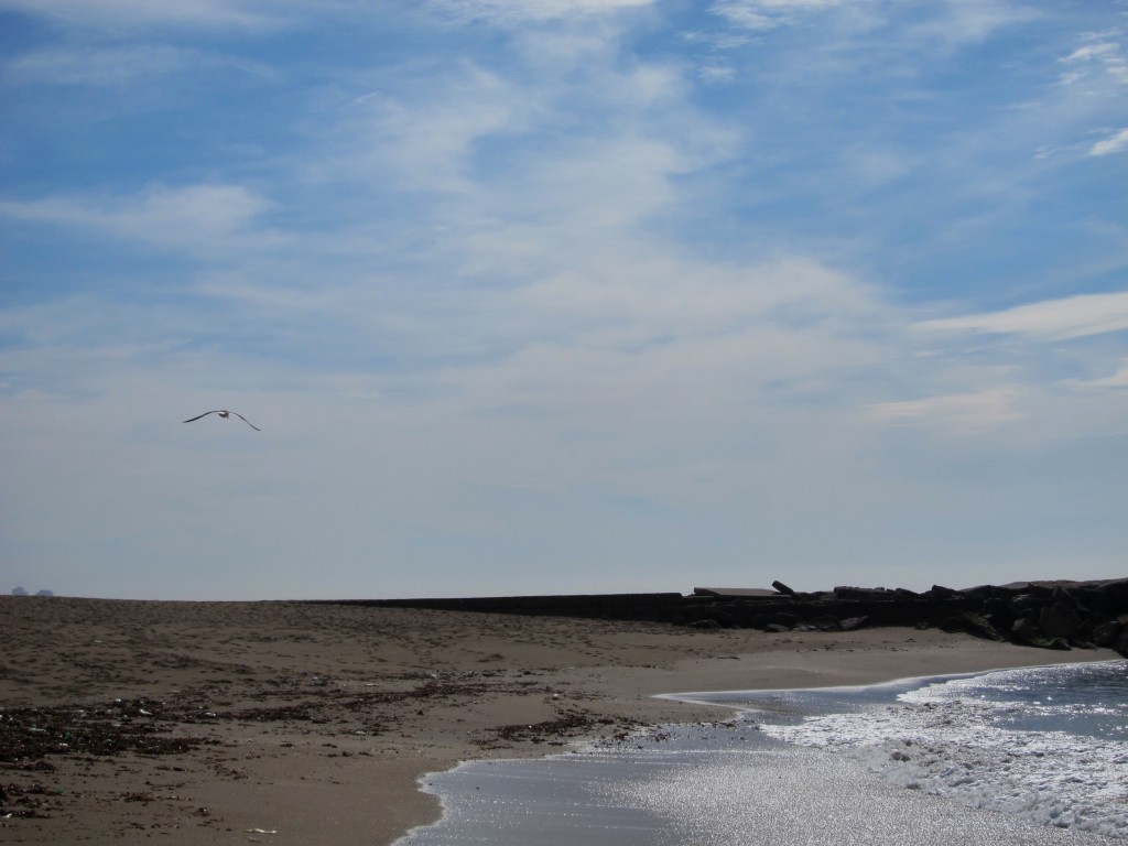 Foto: Puerto - Mar del Plata (Buenos Aires), Argentina