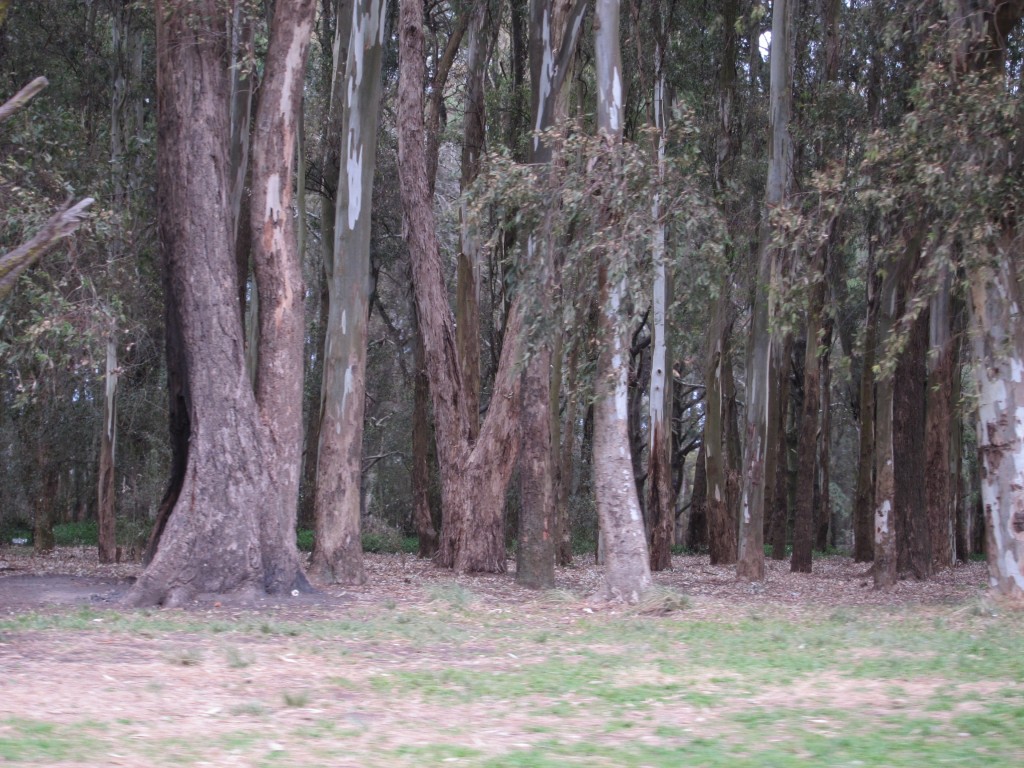 Foto: Laguna de los Padres - Mar del Plata (Buenos Aires), Argentina
