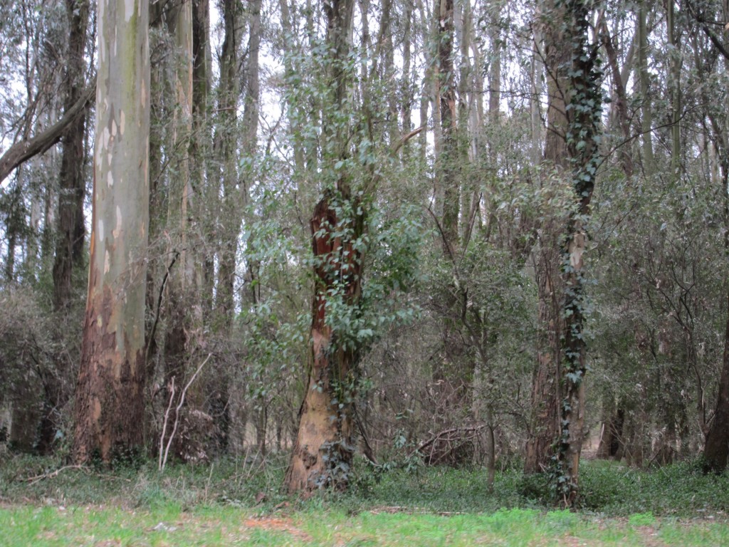 Foto: Laguna de los Padres - Mar del Plata (Buenos Aires), Argentina