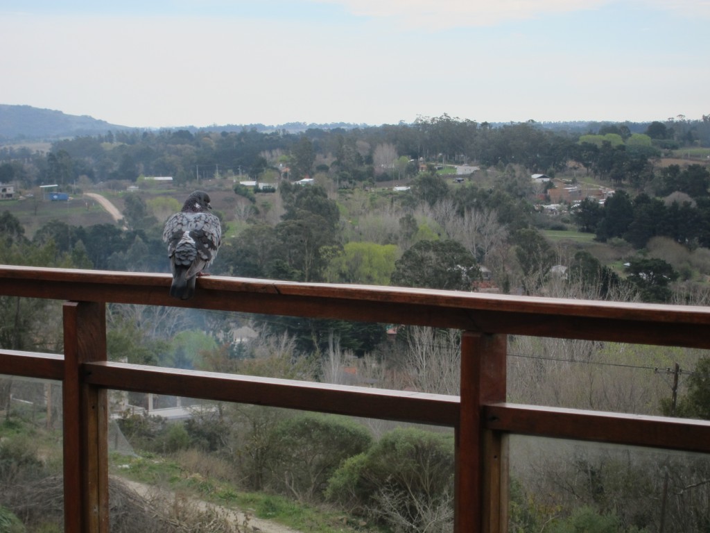 Foto: Sierra de los Padres - Mar del Plata (Buenos Aires), Argentina