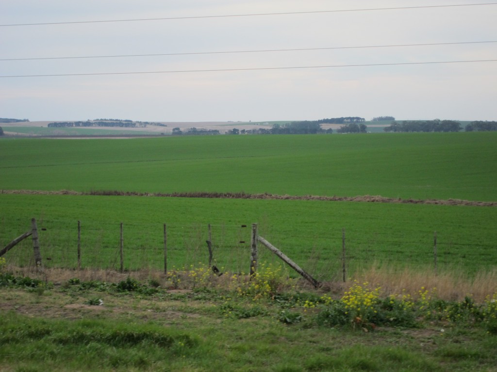 Foto: Sierra de los Padres - Mar del Plata (Buenos Aires), Argentina
