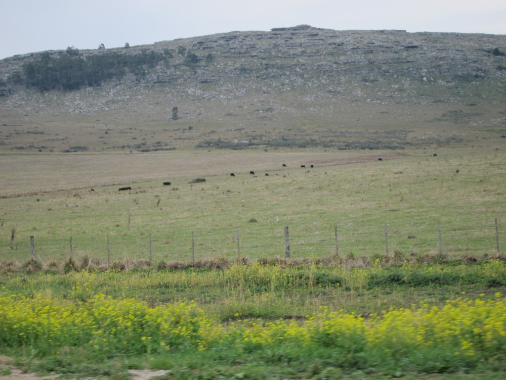 Foto: Sierra de los Padres - Mar del Plata (Buenos Aires), Argentina