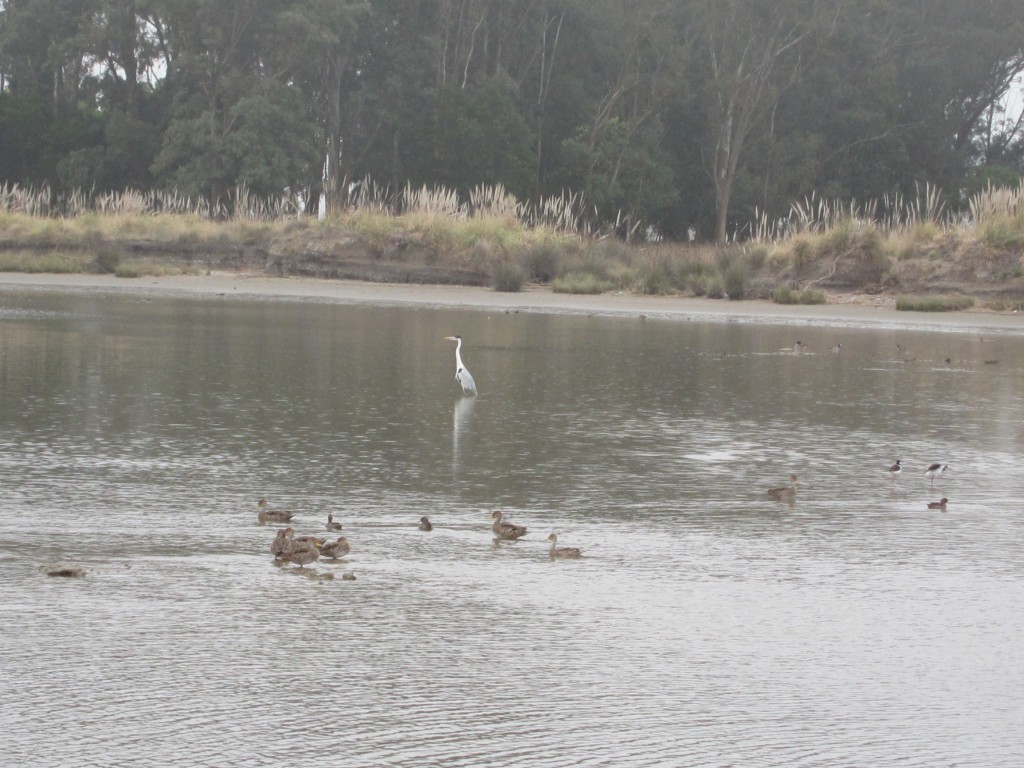 Foto de Mar Chiquita (Buenos Aires), Argentina