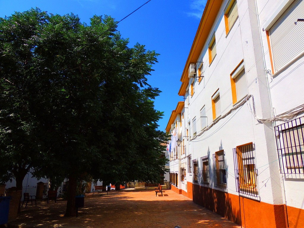 Foto de Olvera (Cádiz), España