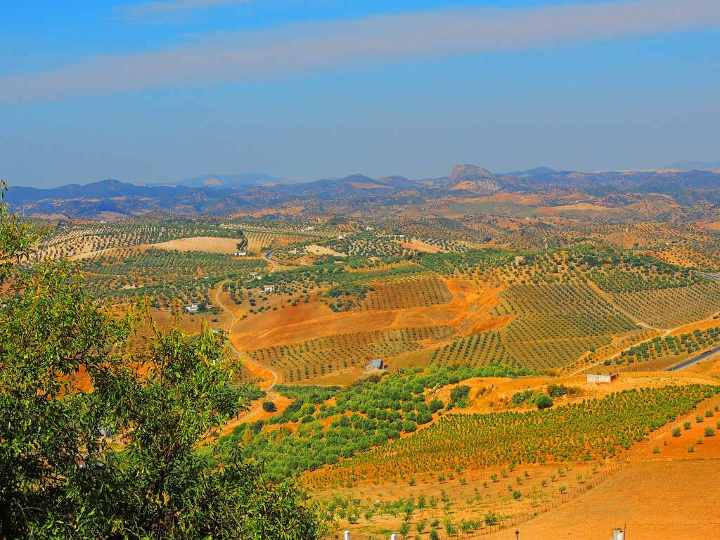 Foto de Olvera (Cádiz), España