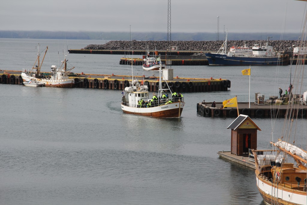 Foto de Húsavík, Islandia
