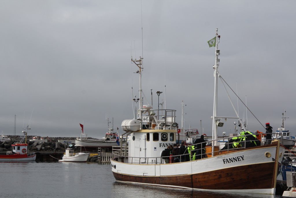 Foto de Húsavík, Islandia