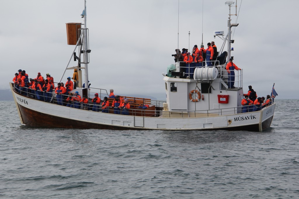 Foto de Húsavík, Islandia