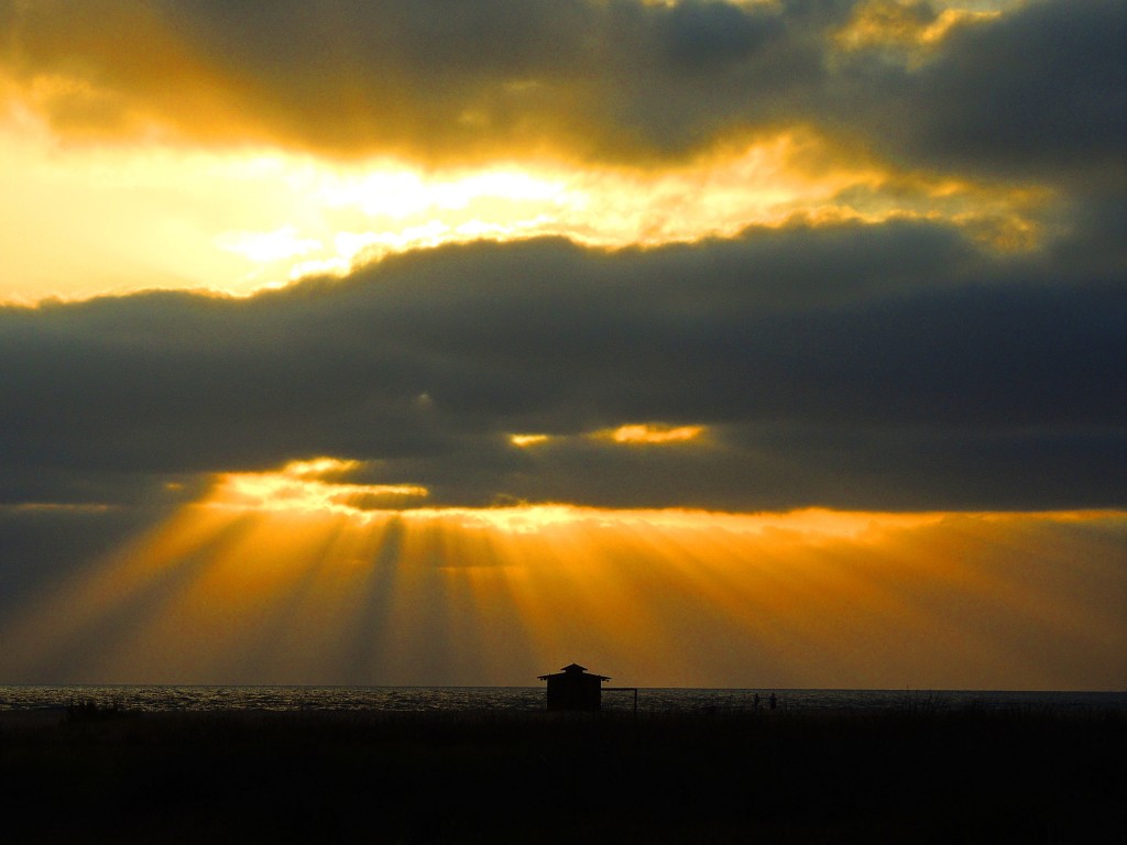 Foto de Conil de la Frontera (Cádiz), España