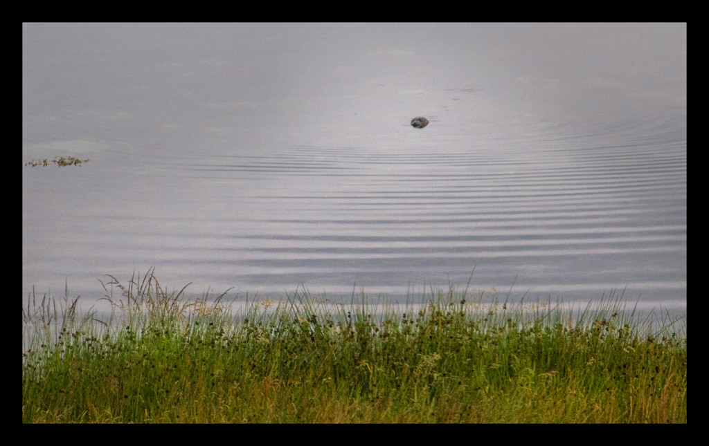Foto de Scotland, El Reino Unido