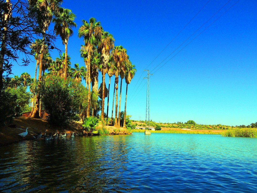 Foto de Arcos de la Frontera (Cádiz), España