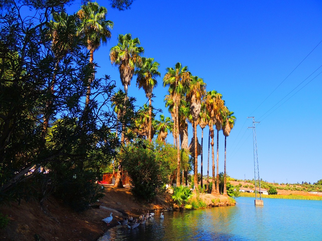 Foto de Arcos de la Frontera (Cádiz), España