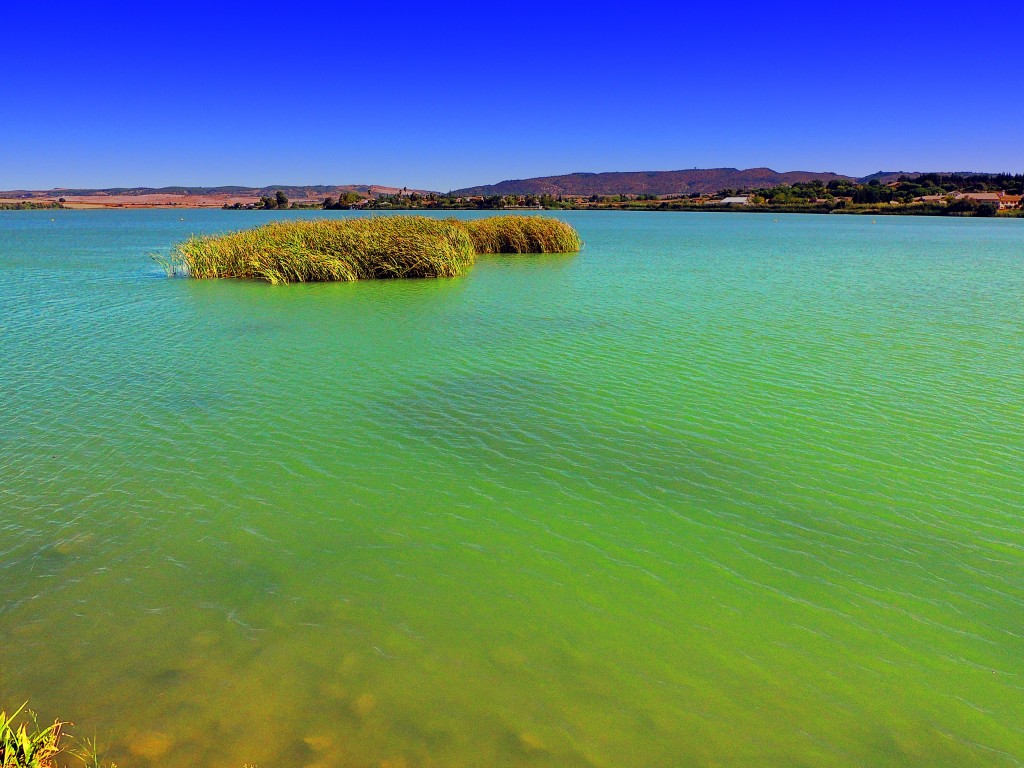 Foto de Arcos de la Frontera (Cádiz), España