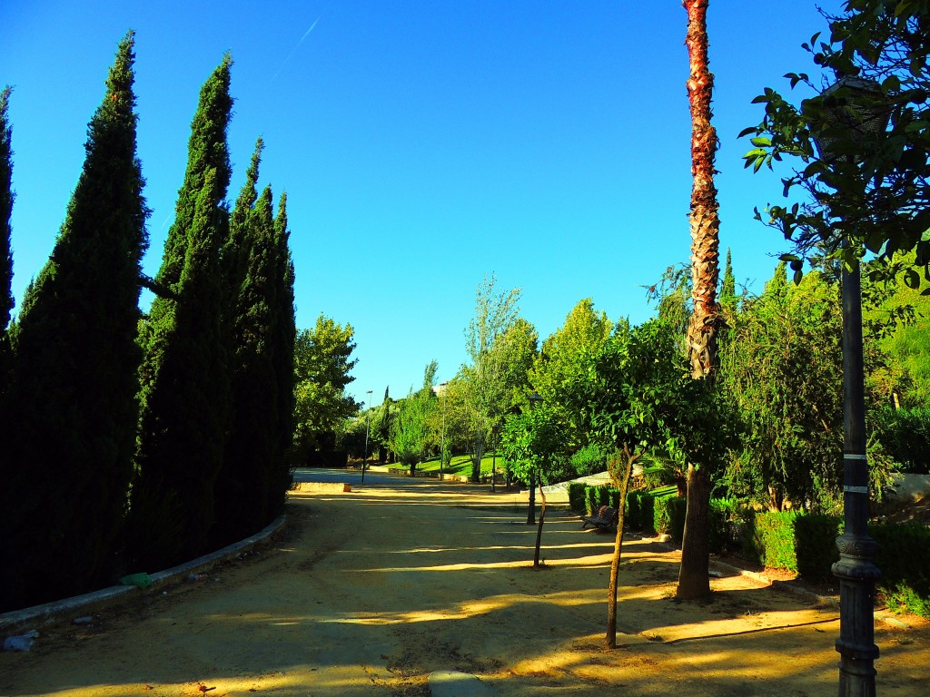 Foto de Arcos de la Frontera (Cádiz), España