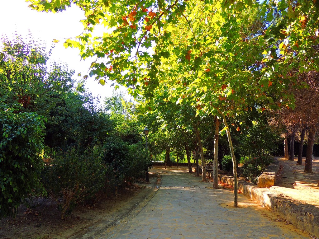 Foto de Arcos de la Frontera (Cádiz), España