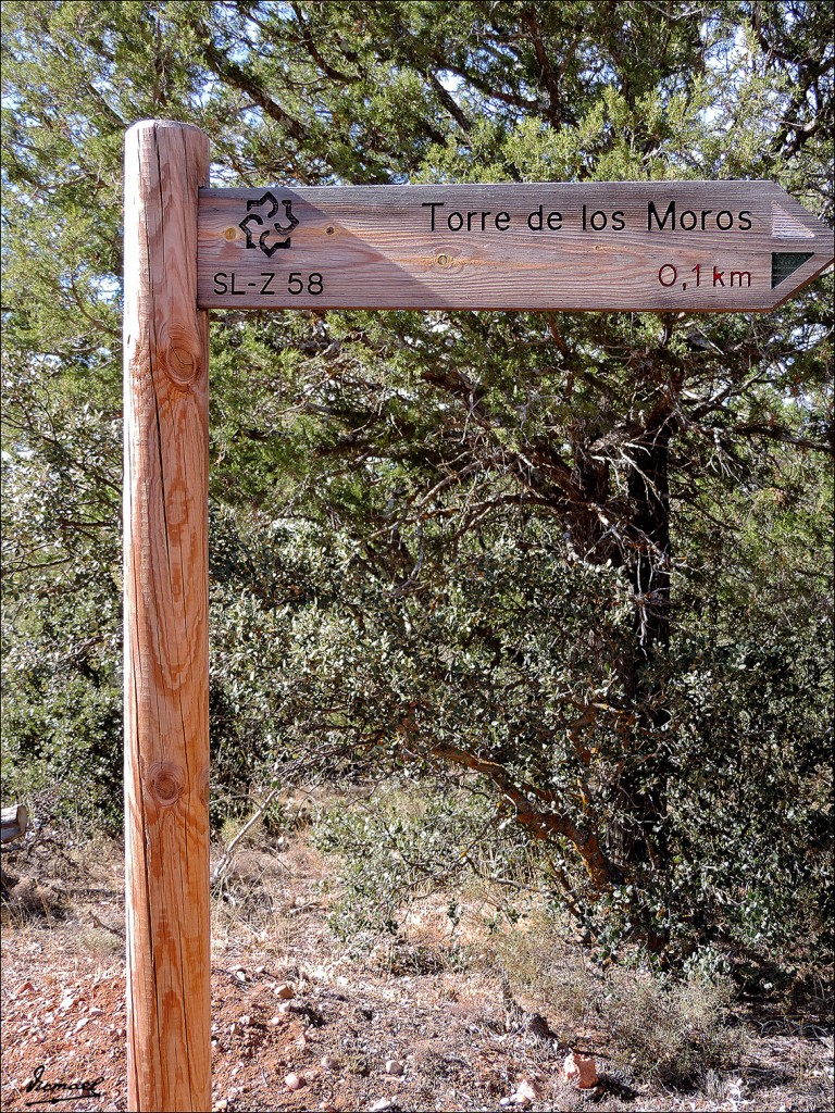 Foto: 130921-14 TORRETA SISAMON - Sisamon (Zaragoza), España