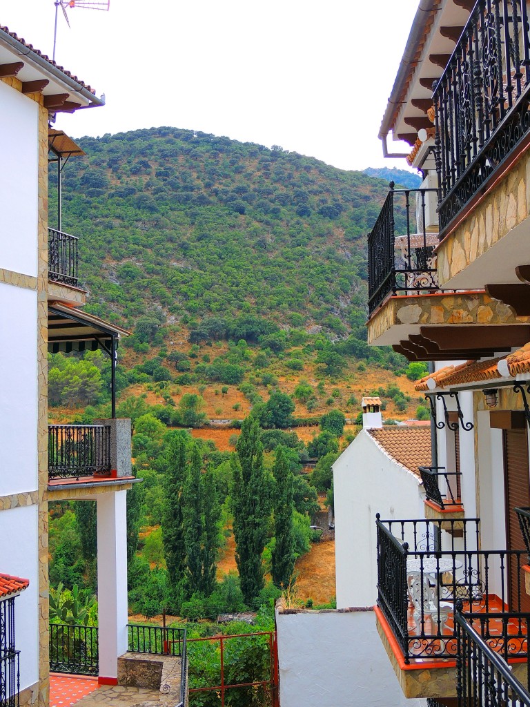 Foto de Benamahoma (Cádiz), España