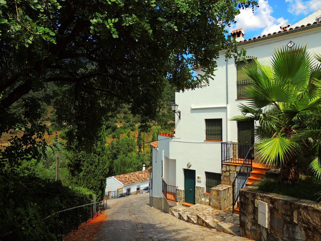 Foto de Benamahoma (Cádiz), España