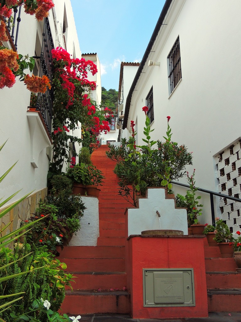 Foto de Benamahoma (Cádiz), España