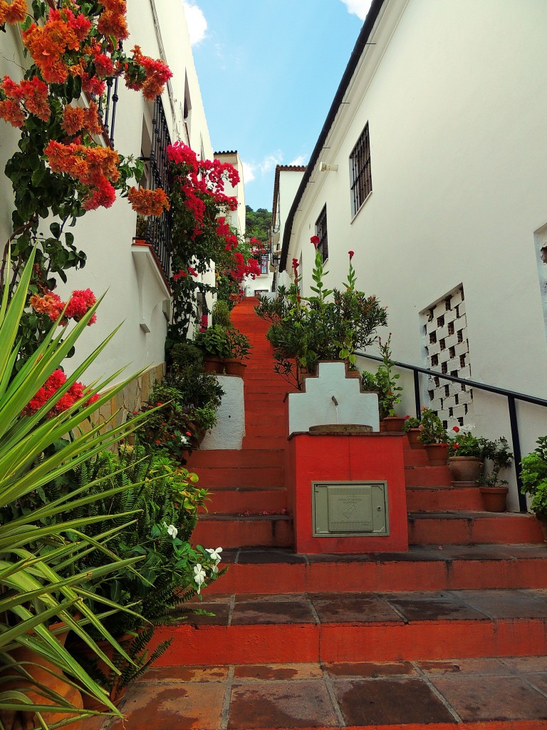 Foto de Benamahoma (Cádiz), España