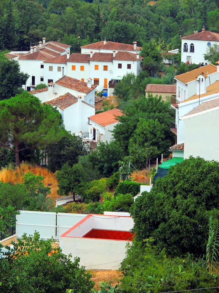 Foto de Benamahoma (Cádiz), España