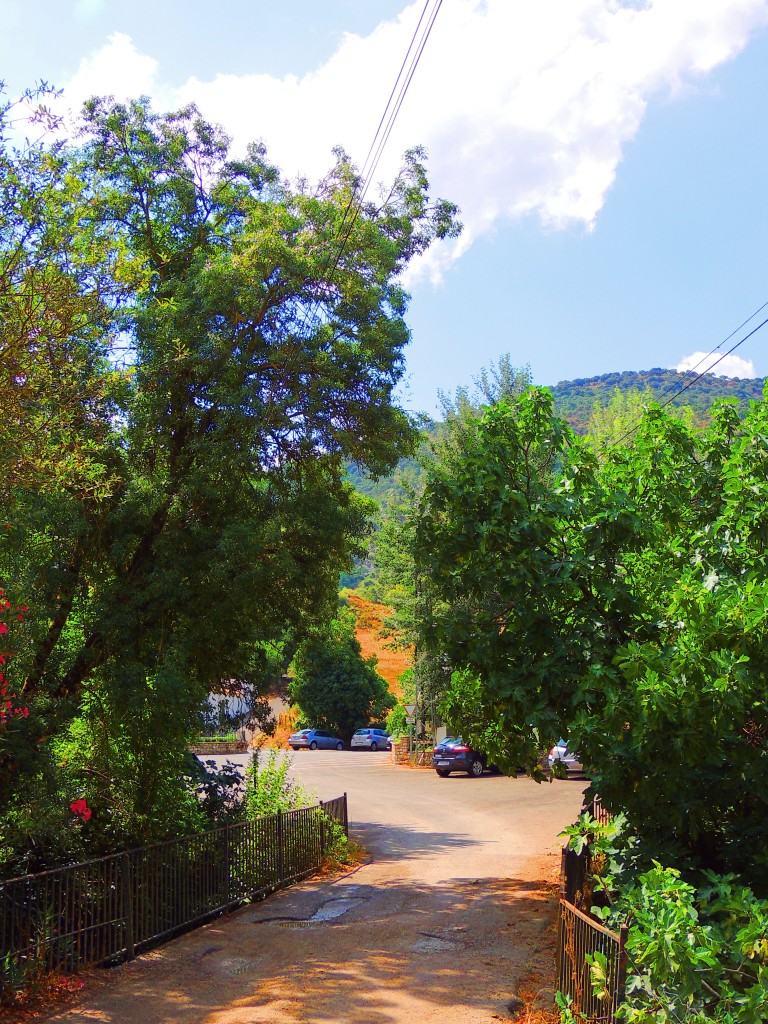 Foto de Benamahoma (Cádiz), España