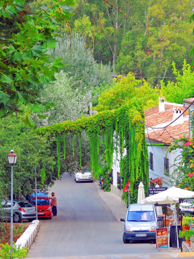 Foto de Benamahoma (Cádiz), España