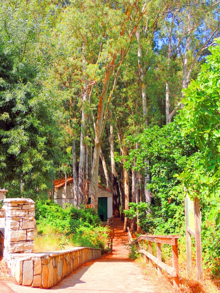 Foto de Benamahoma (Cádiz), España