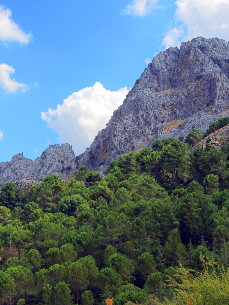 Foto de Grazalema (Cádiz), España