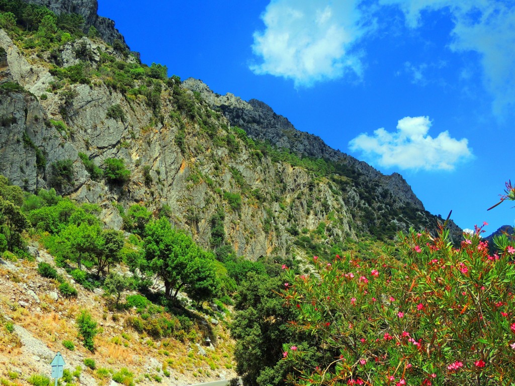 Foto de Grazalema (Cádiz), España