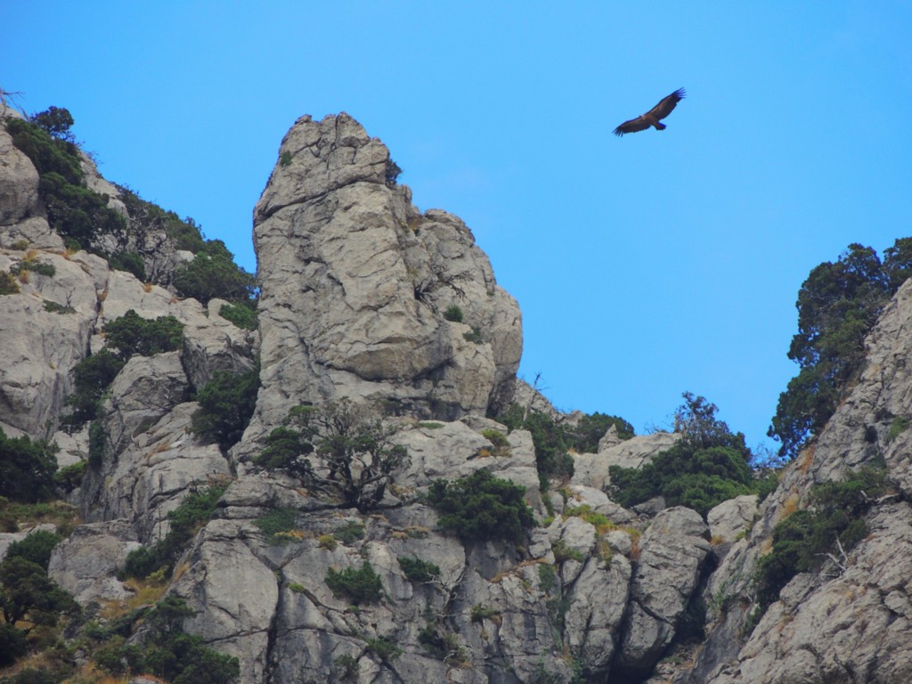 Foto de Grazalema (Cádiz), España