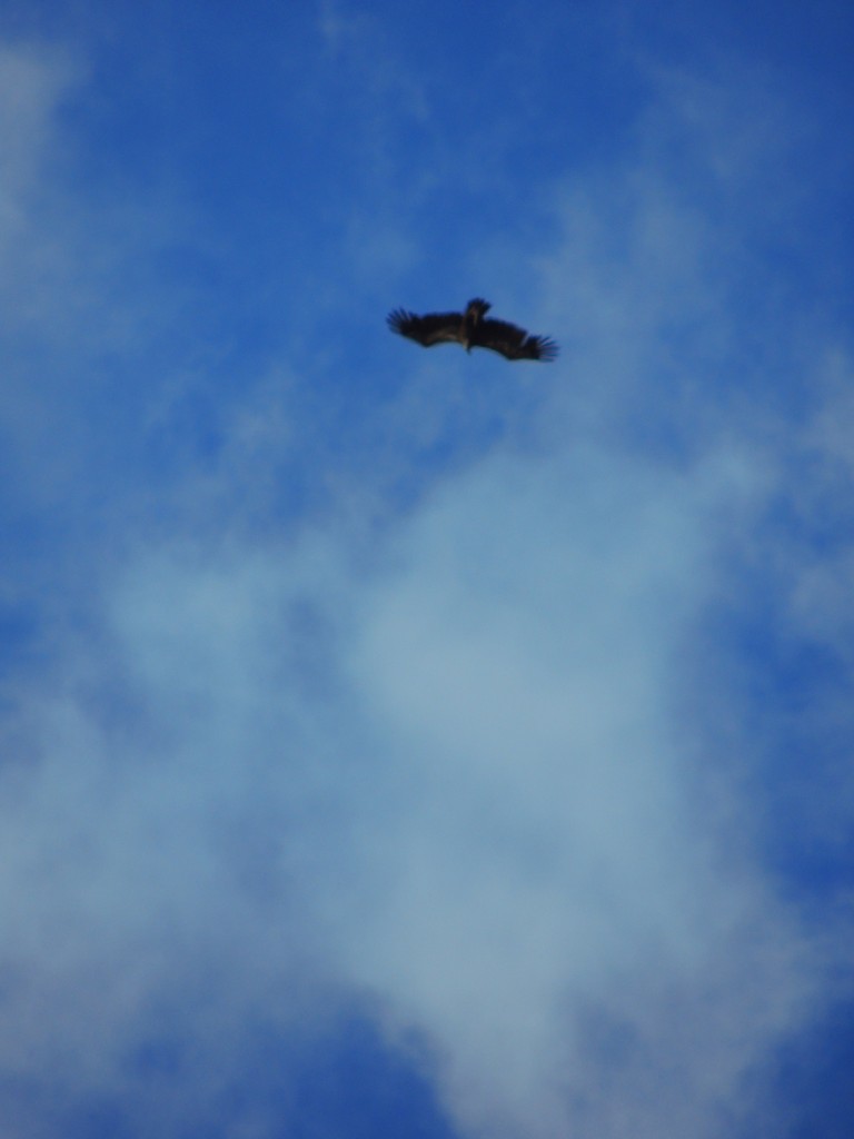 Foto de Grazalema (Cádiz), España