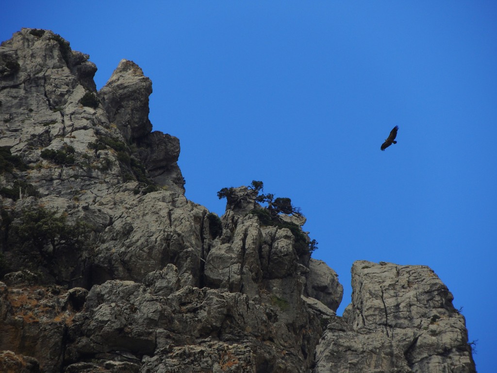 Foto de Grazalema (Cádiz), España