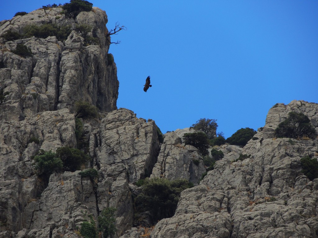 Foto de Grazalema (Cádiz), España