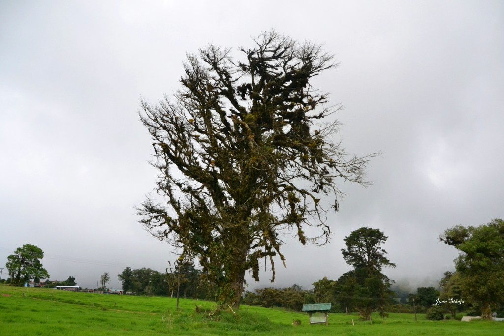 Foto: Freddo Leche Tours - Poasito (Alajuela), Costa Rica