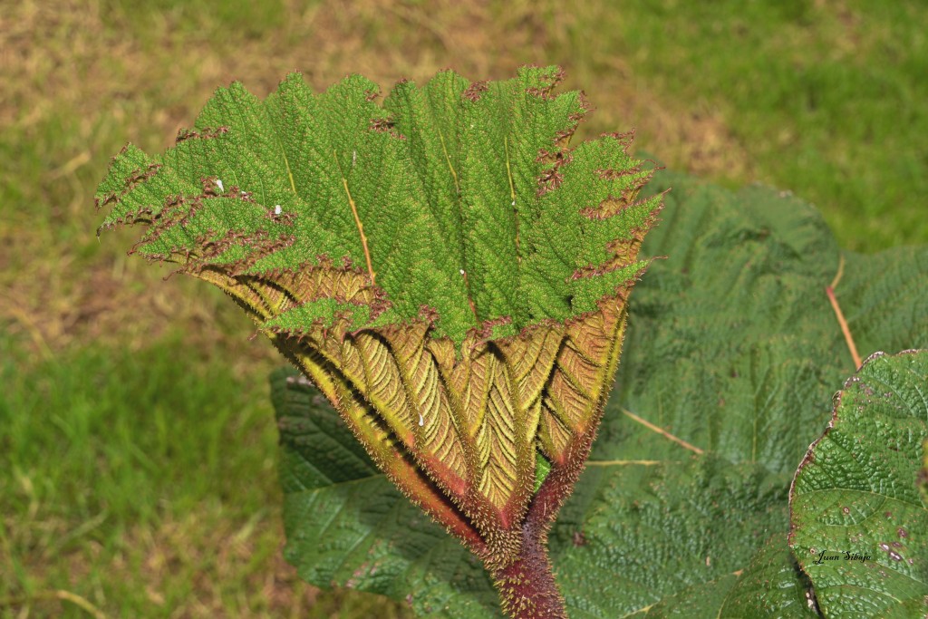 Foto: Freddo Leche Tours - Poasito (Alajuela), Costa Rica
