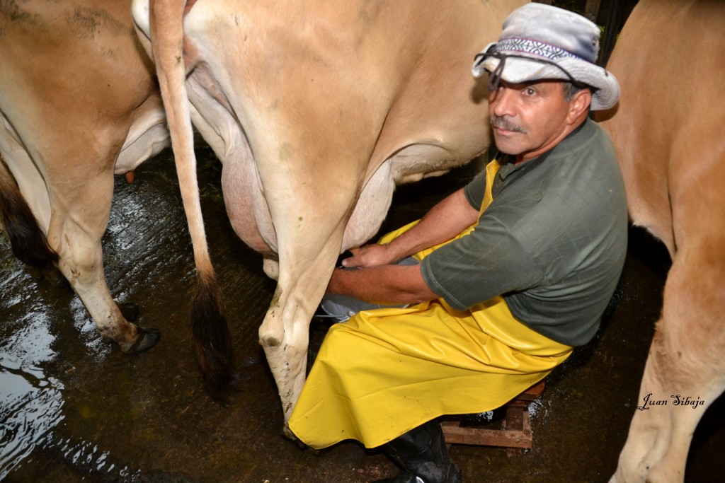 Foto: Freddo Leche Tours - Poasito (Alajuela), Costa Rica